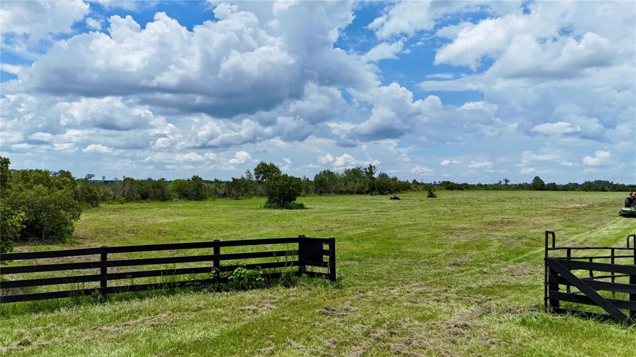 County Line Road E, Fort Meade, FL 33841 Photo