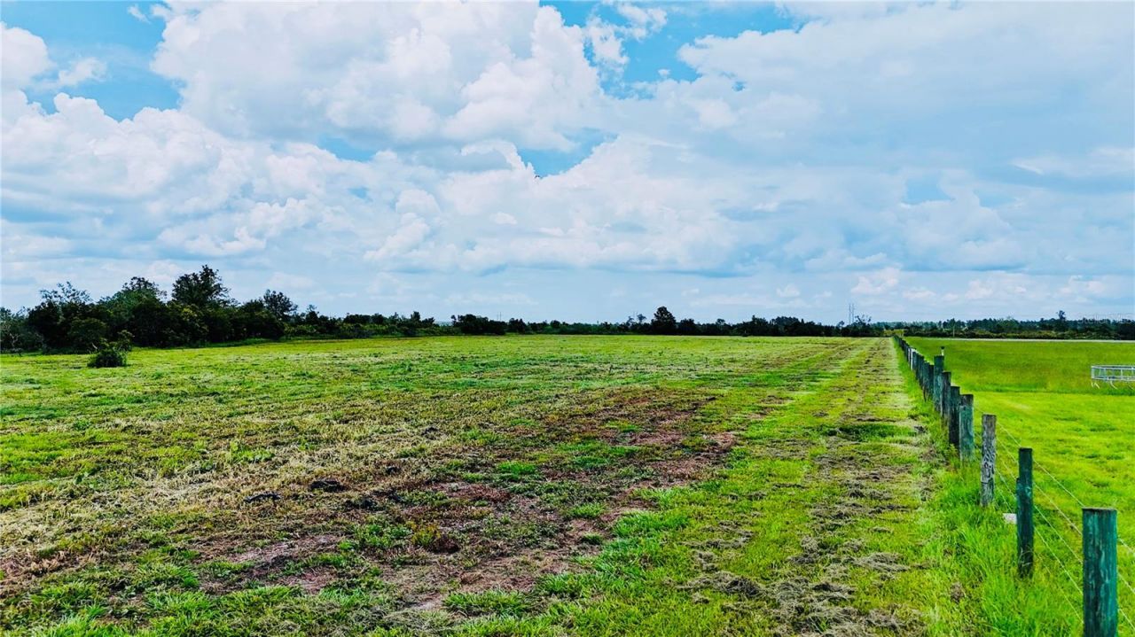 County Line Road E, Fort Meade, FL 33841 Photo