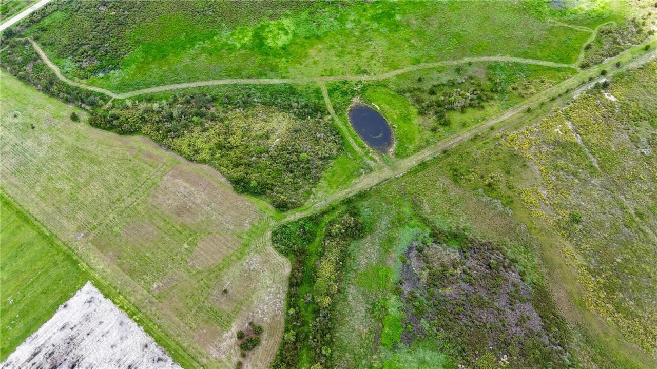County Line Road E, Fort Meade, FL 33841 Photo