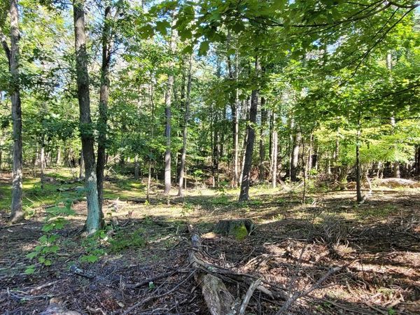 L20 High Hill Road, Coxsackie, NY 12051