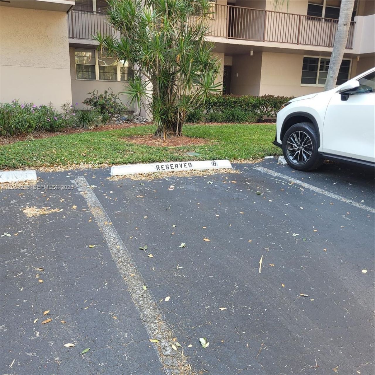 1811 Sabal Palm Dr , Unit 306, Davie, FL 33324 Photo