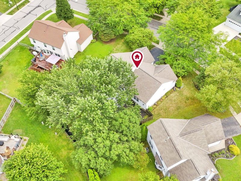 137 Clayburn Drive, Pataskala, OH 43062 Photo 49