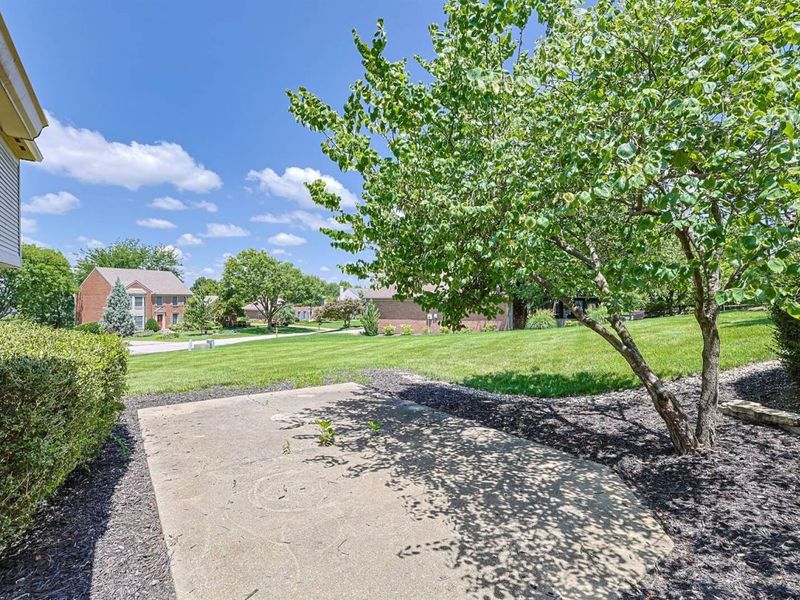 1009 Riverview Farm Place, Villa Hills, KY 41017 Photo 35