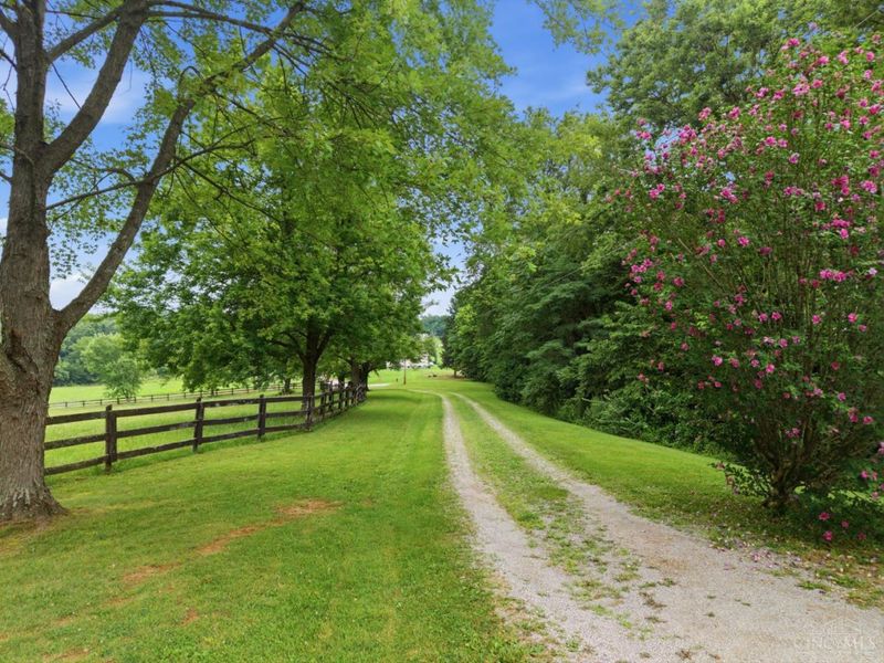 1768 Big Woods Road, Scott Twp, OH 45679 Photo 12