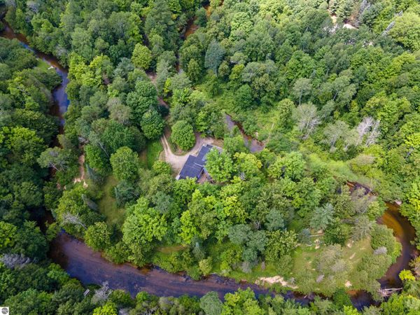15651 Holly Drive, Thompsonville, MI 49683