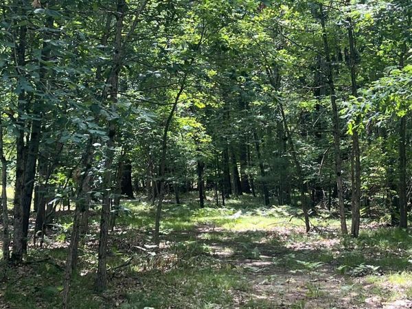 8268 B S Ferris Avenue, Newaygo, MI 49337