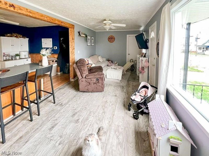 516 W 10th Street, Ashland, OH 44805 Photo 2