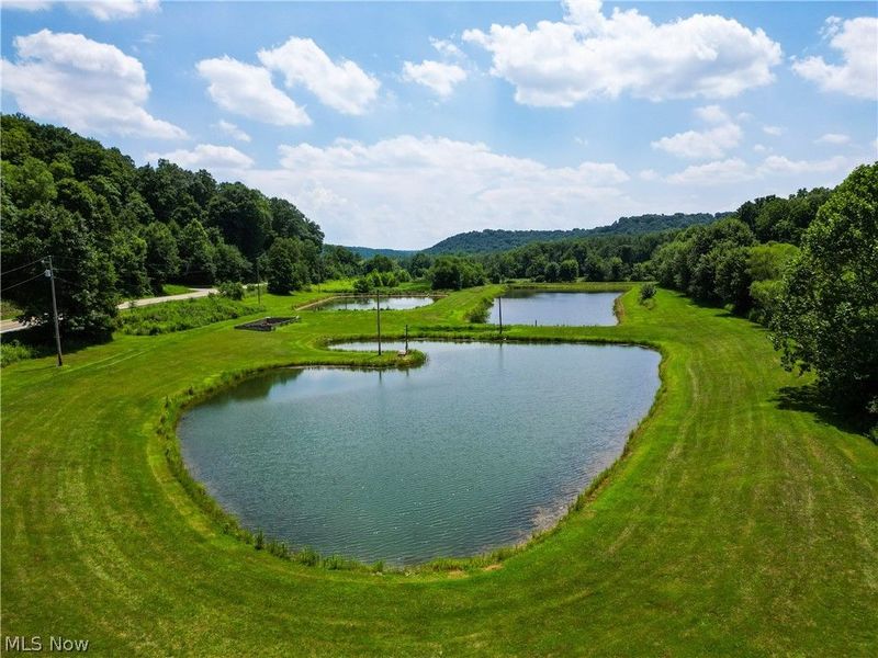 1633 State Route 60, Millersburg, OH 44654 Photo 1