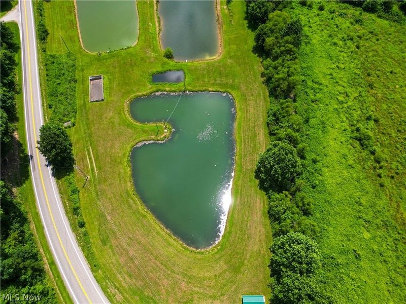 1633 State Route 60, Millersburg, OH 44654 Photo 19