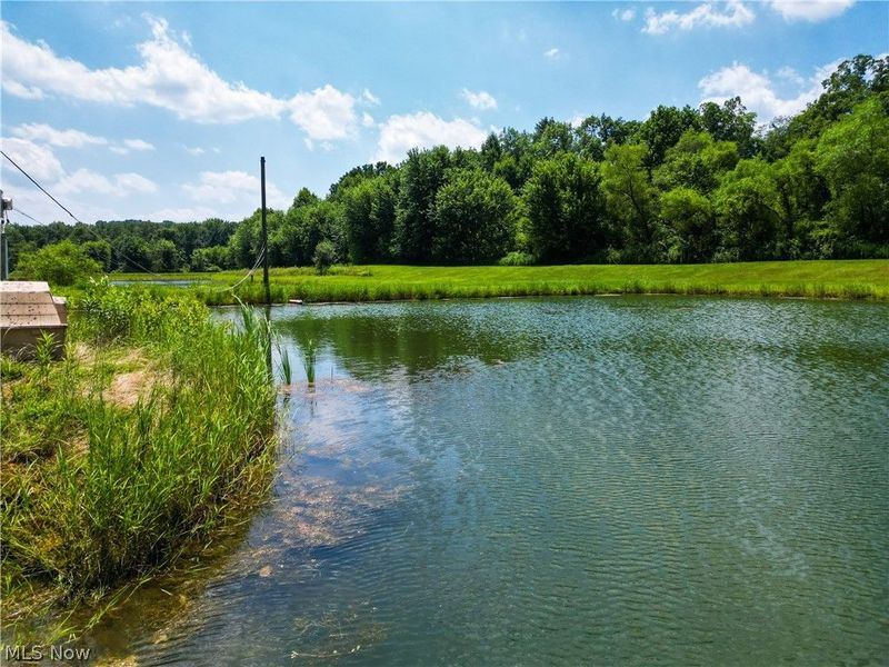 1633 State Route 60, Millersburg, OH 44654 Photo 20