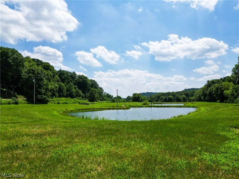 1633 State Route 60, Millersburg, OH 44654 Photo 3