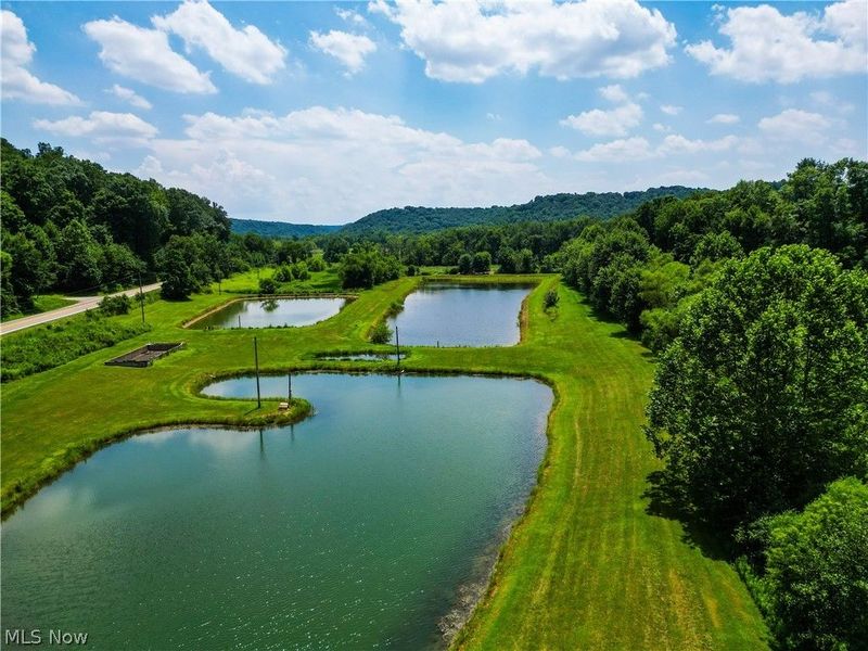 1633 State Route 60, Millersburg, OH 44654 Photo 4