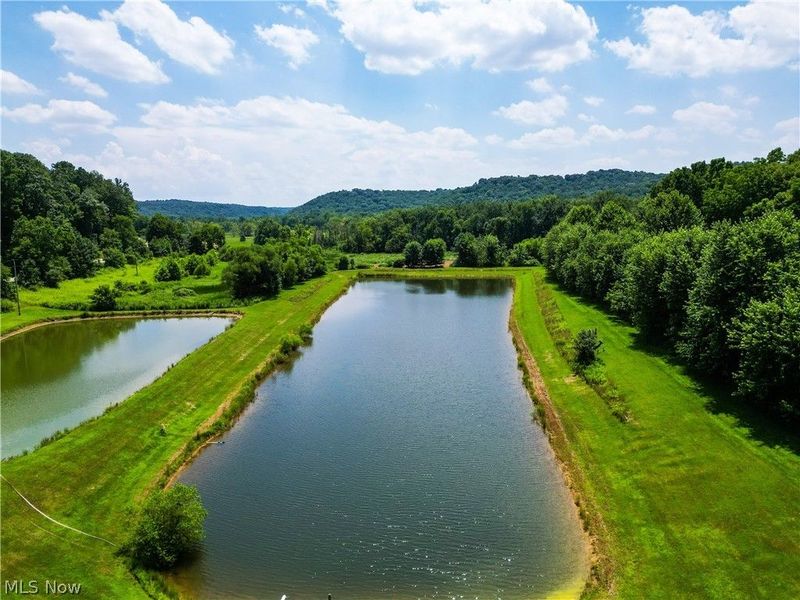 1633 State Route 60, Millersburg, OH 44654 Photo 6
