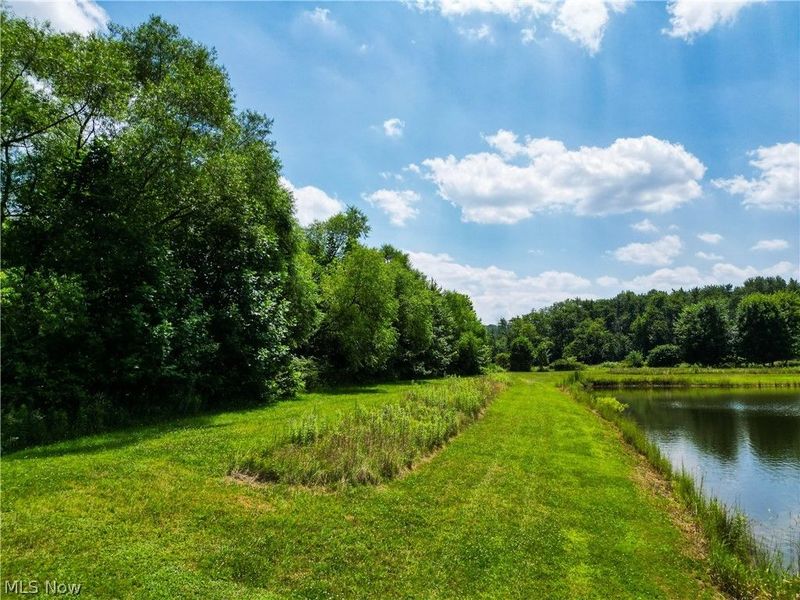 1633 State Route 60, Millersburg, OH 44654 Photo 7