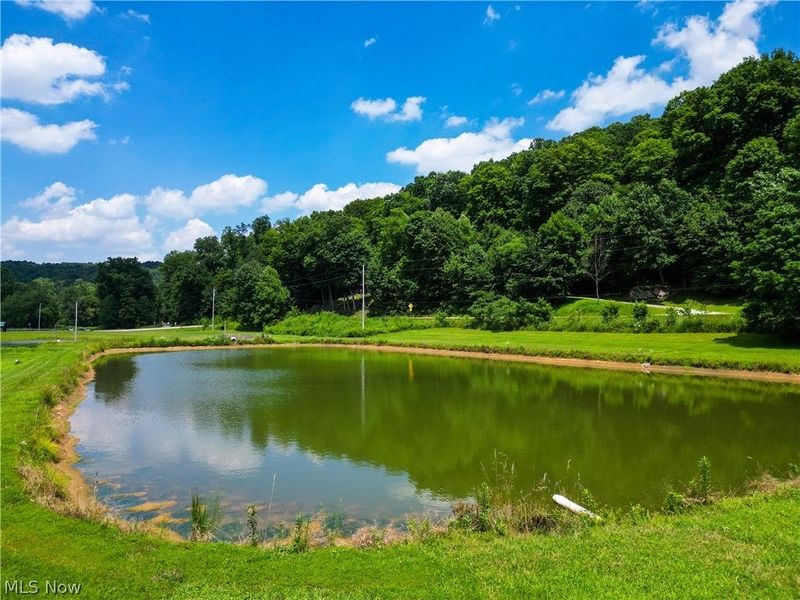 1633 State Route 60, Millersburg, OH 44654 Photo 8
