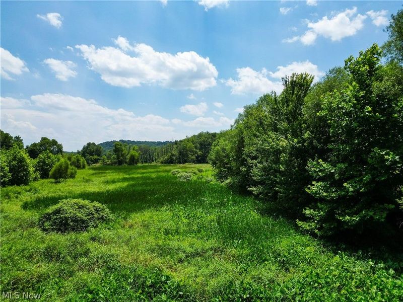 1633 State Route 60, Millersburg, OH 44654 Photo 9