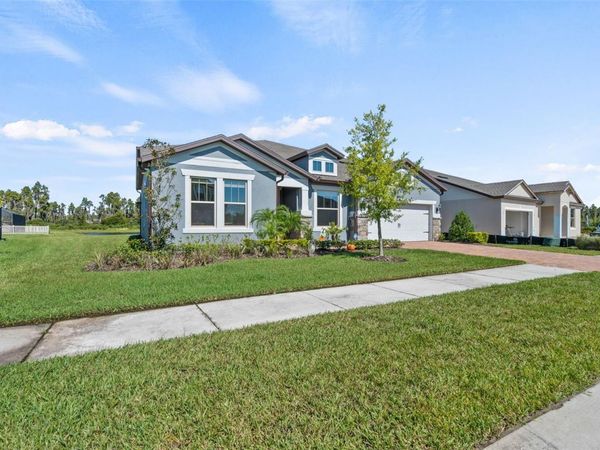 19284 BRIARBROOK DRIVE , TAMPA, FL 33647