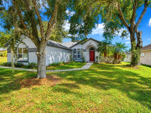 4102 AMBER RIDGE LANE , VALRICO, FL 33594