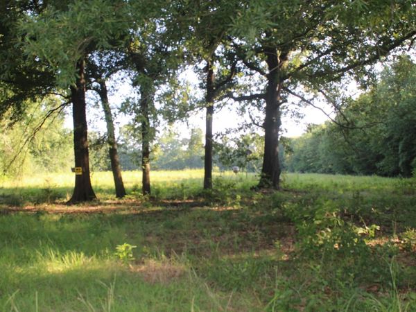 144 Hempstead 1300, Nashville, AR 71852