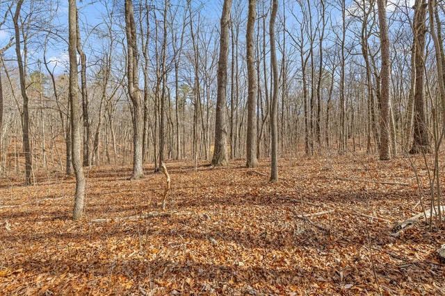8307 Bear Paw Trail, Signal Mountain, TN 37377 Main Photo