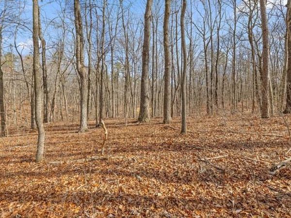 8307 Bear Paw Trail, Signal Mountain, TN 37377