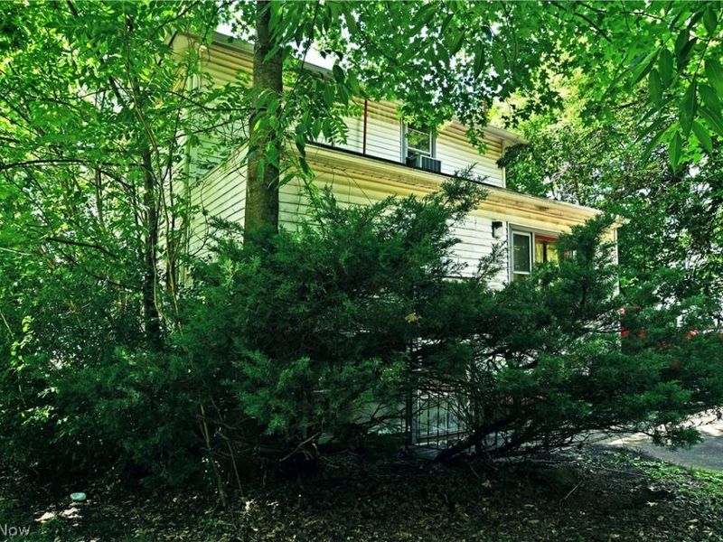 995 Glenwood Street NE, Warren, OH 44483 Photo 6