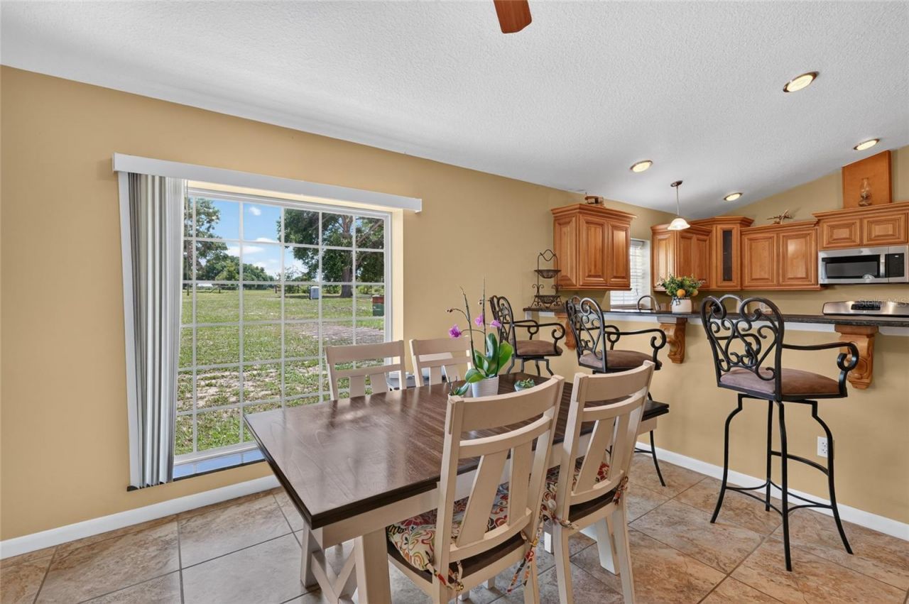 3830 Griffin View Drive, Lady Lake, FL 32159 Photo