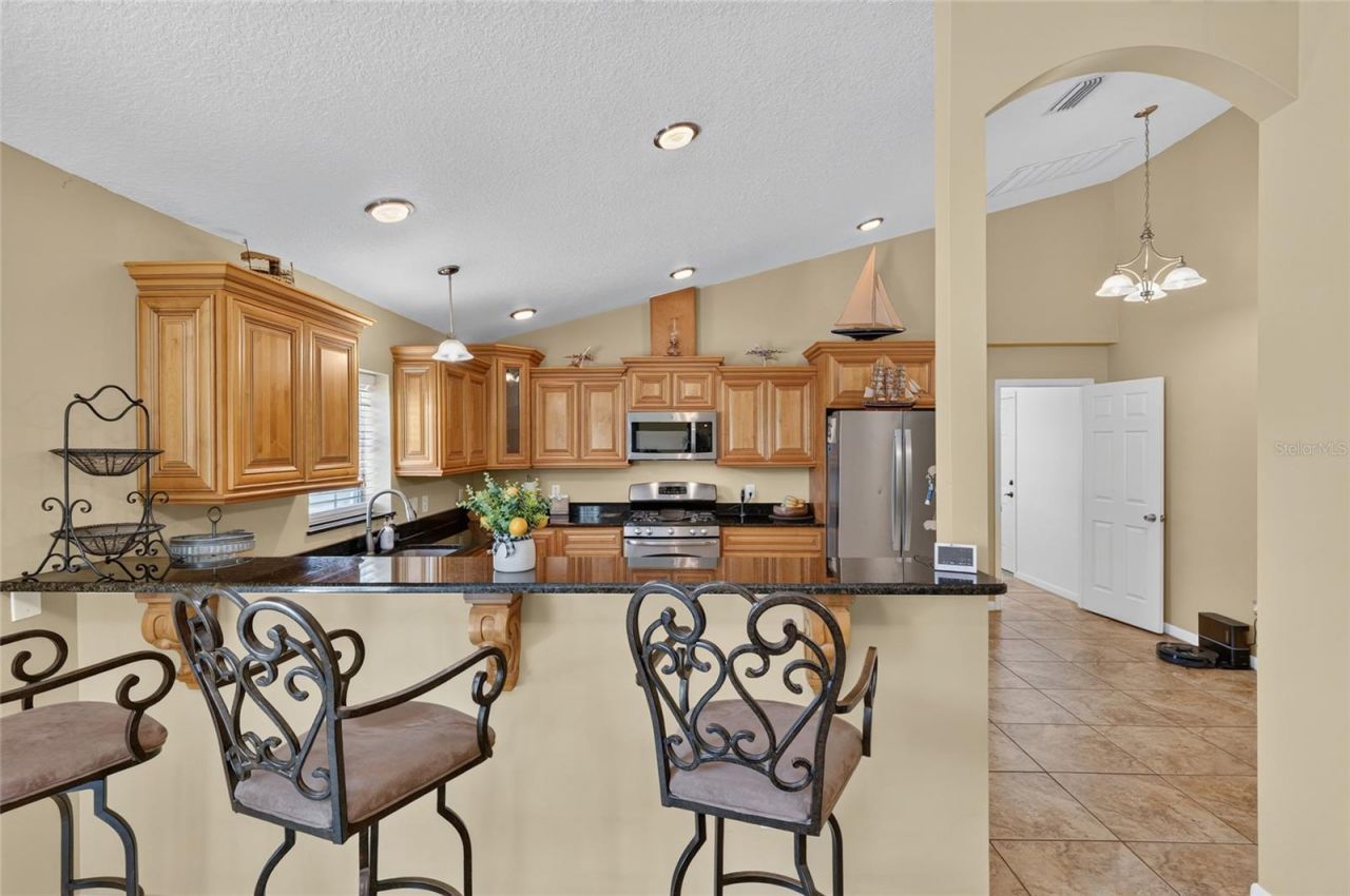 3830 Griffin View Drive, Lady Lake, FL 32159 Photo