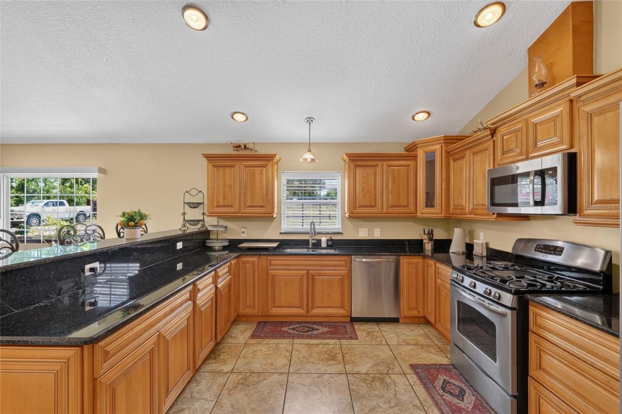 3830 Griffin View Drive, Lady Lake, FL 32159 Photo