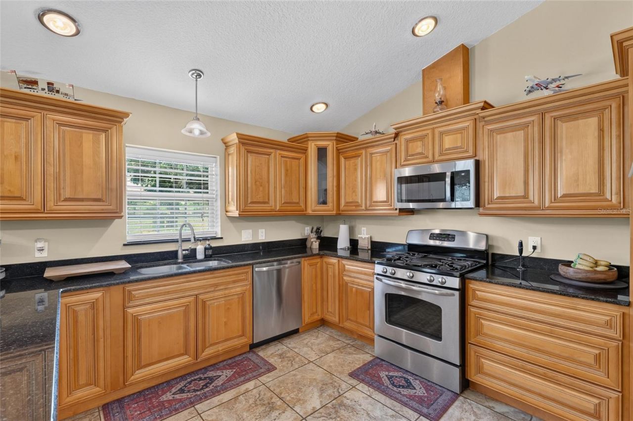 3830 Griffin View Drive, Lady Lake, FL 32159 Photo