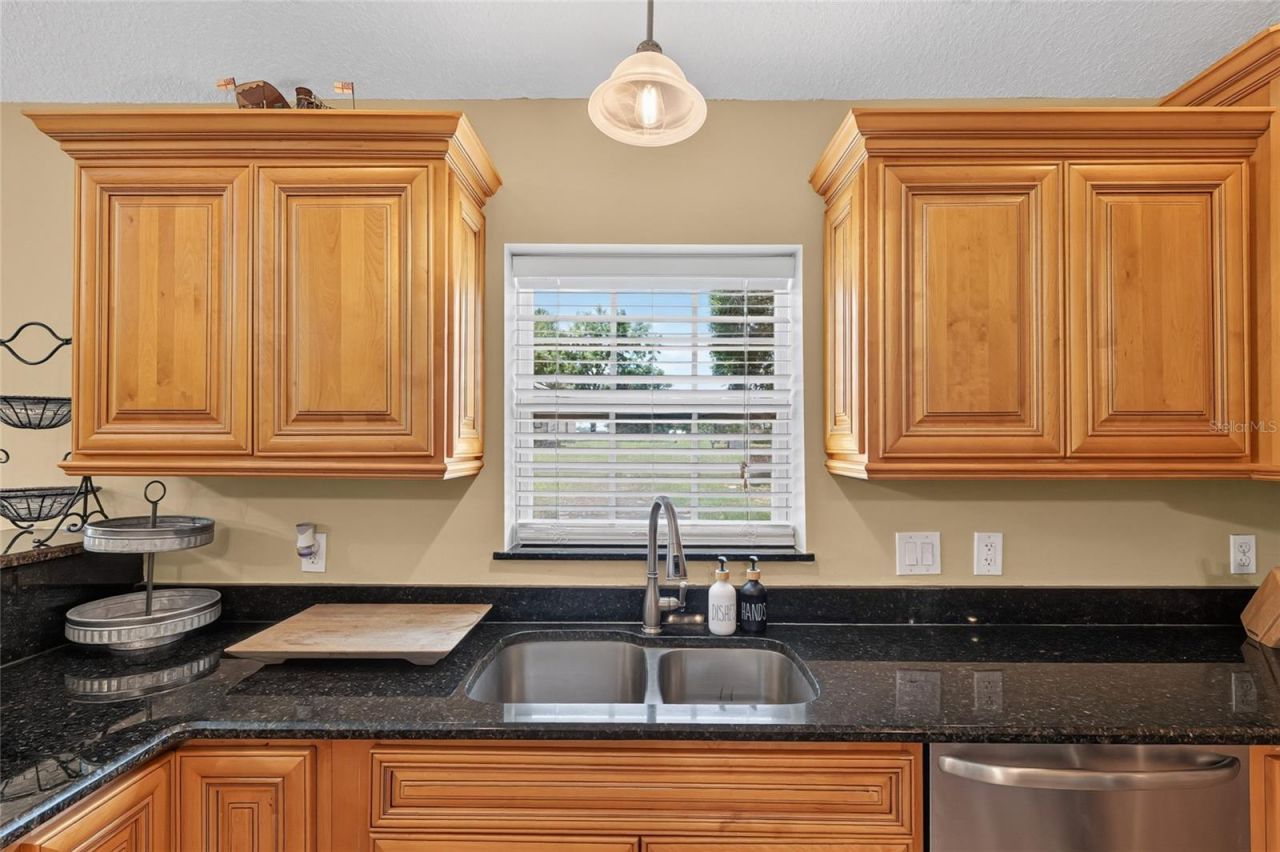 3830 Griffin View Drive, Lady Lake, FL 32159 Photo