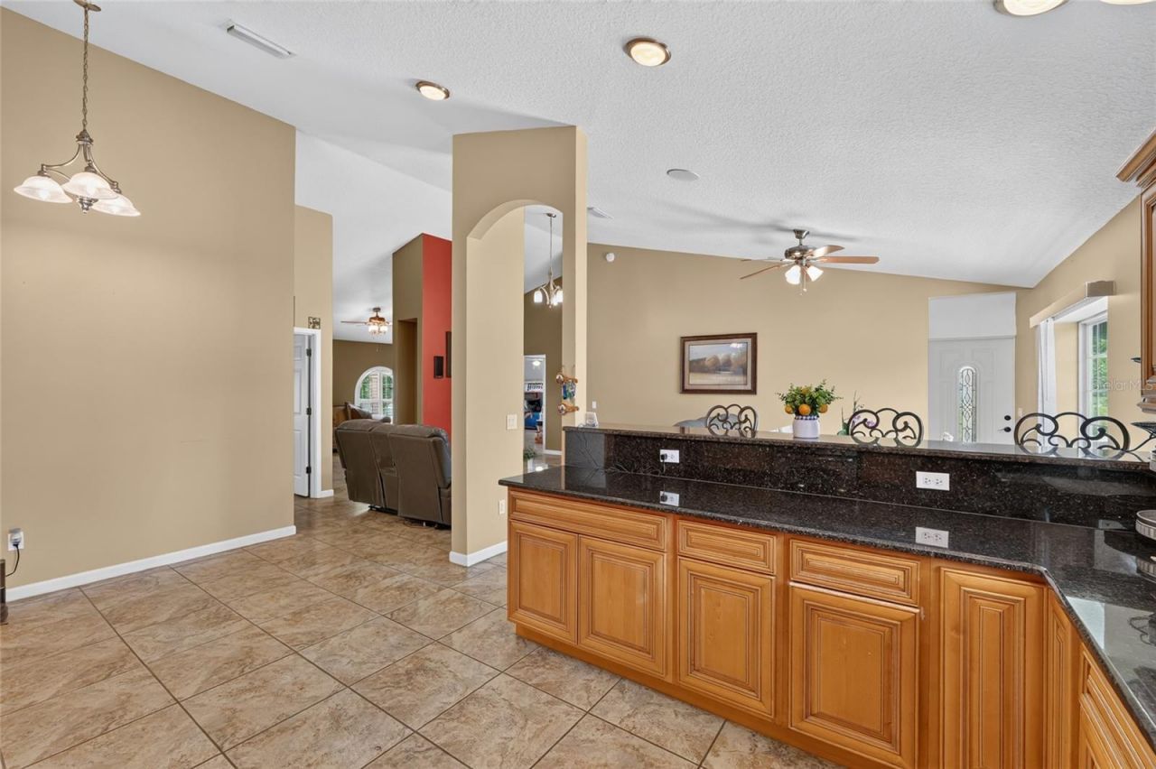 3830 Griffin View Drive, Lady Lake, FL 32159 Photo