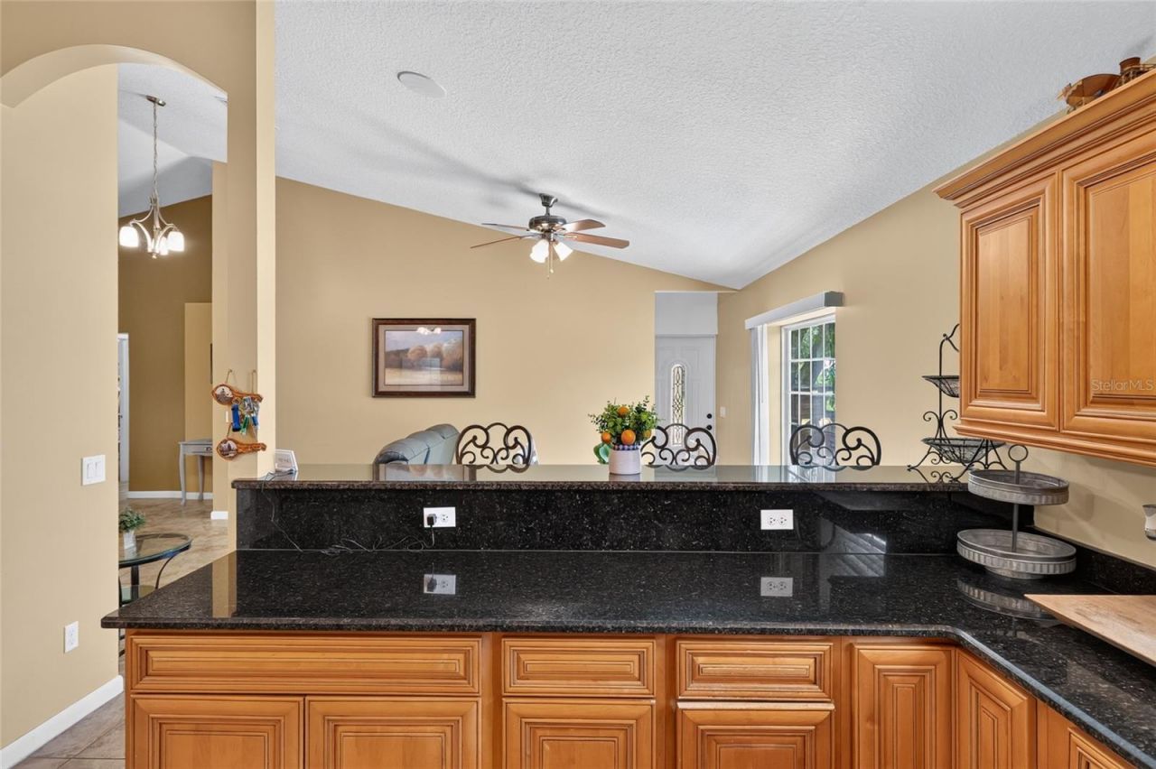3830 Griffin View Drive, Lady Lake, FL 32159 Photo