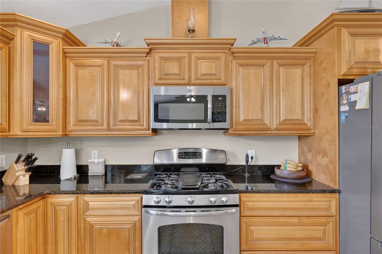 3830 Griffin View Drive, Lady Lake, FL 32159 Photo
