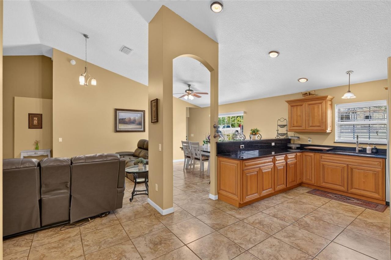 3830 Griffin View Drive, Lady Lake, FL 32159 Photo