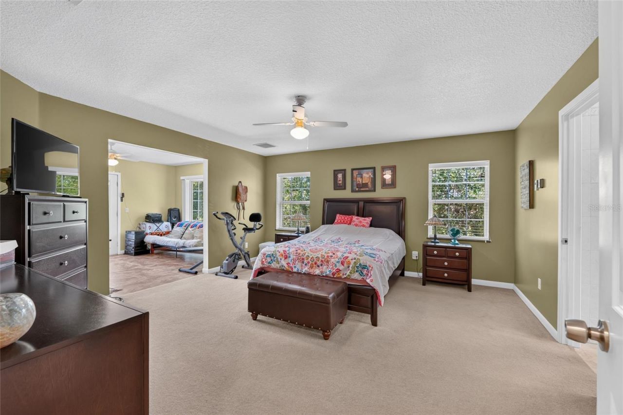 3830 Griffin View Drive, Lady Lake, FL 32159 Photo