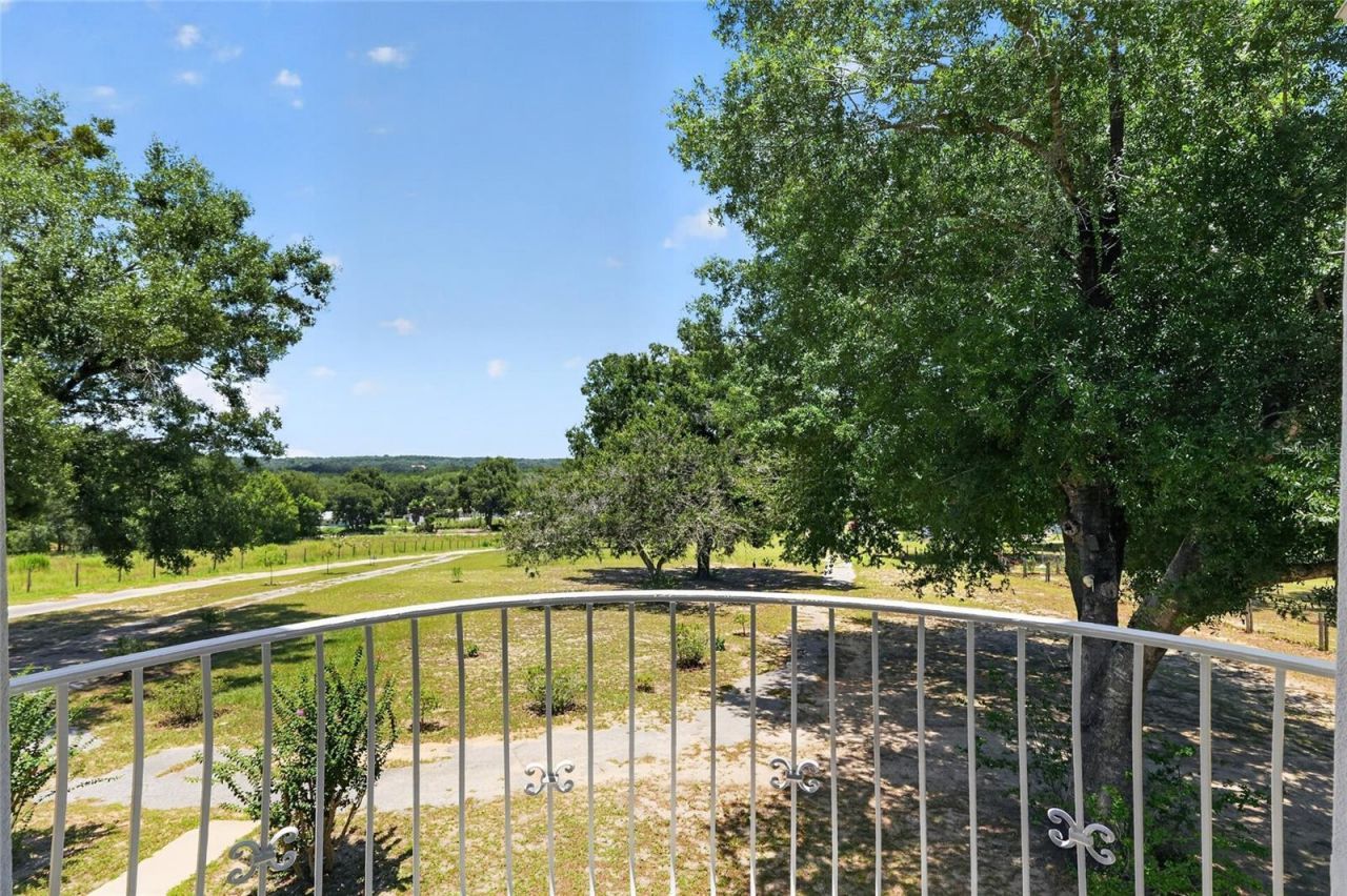 3830 Griffin View Drive, Lady Lake, FL 32159 Photo
