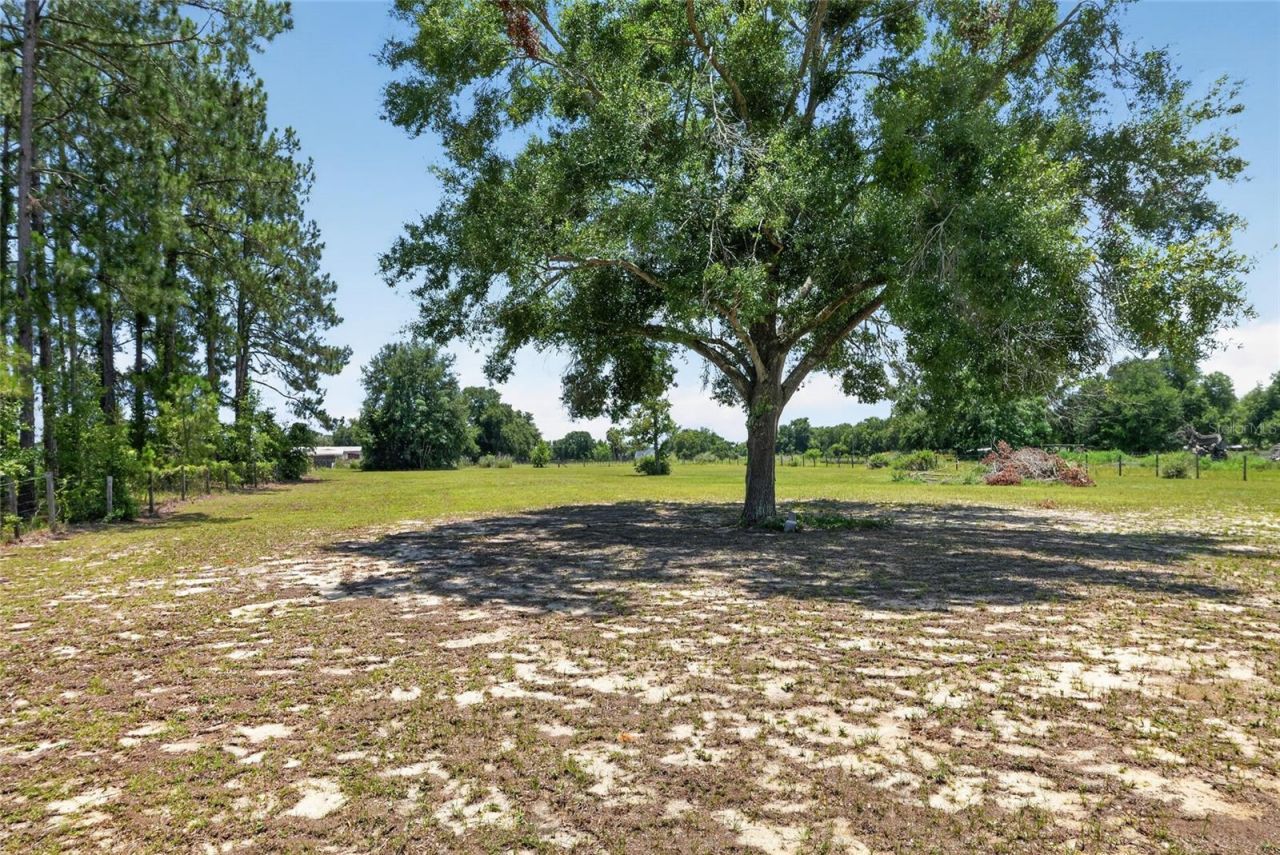3830 Griffin View Drive, Lady Lake, FL 32159 Photo