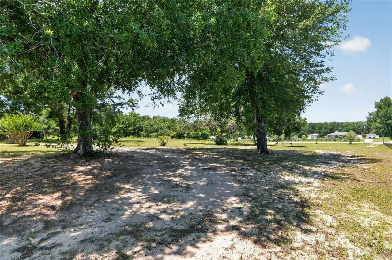 3830 Griffin View Drive, Lady Lake, FL 32159 Photo