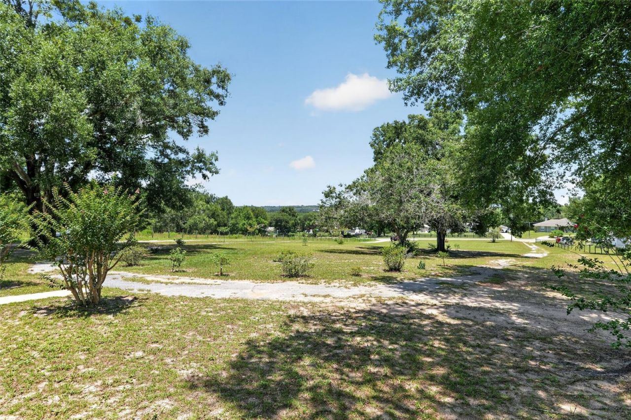 3830 Griffin View Drive, Lady Lake, FL 32159 Photo
