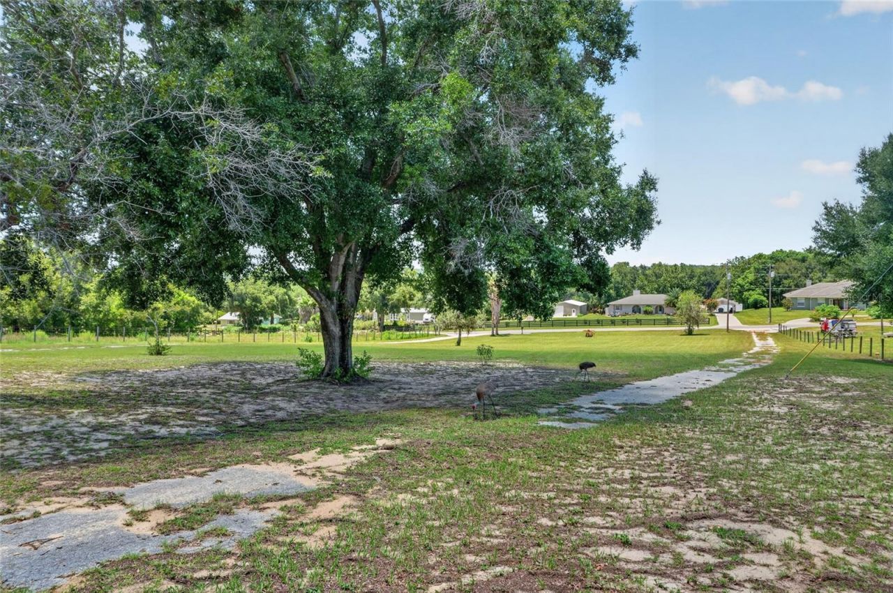 3830 Griffin View Drive, Lady Lake, FL 32159 Photo