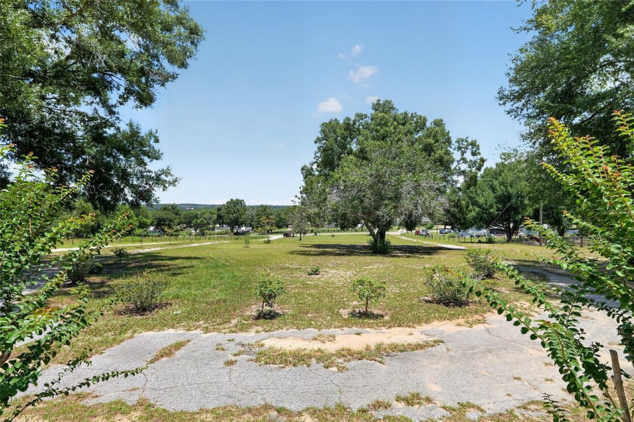 3830 Griffin View Drive, Lady Lake, FL 32159 Photo