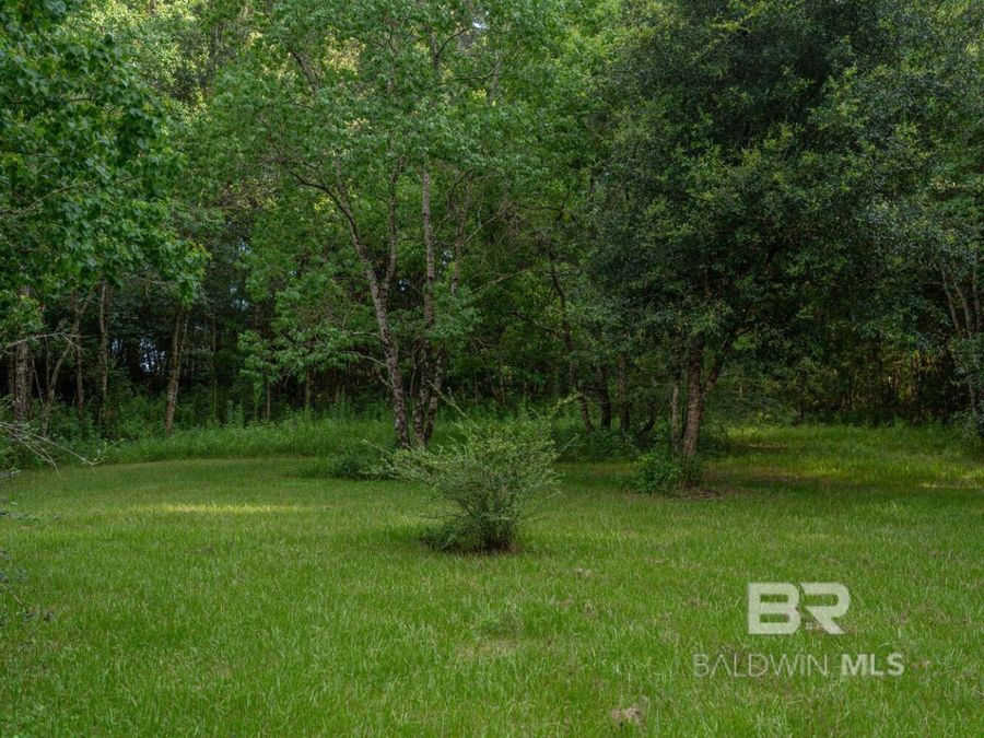 Property Image 54