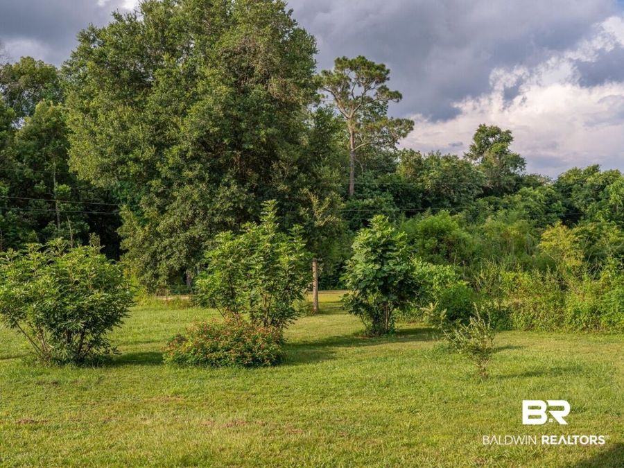 Property Image 100