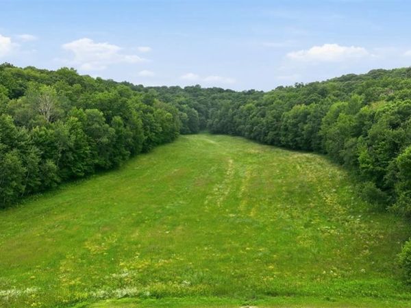 40 Acres County Road S, Wheeler, WI 54772