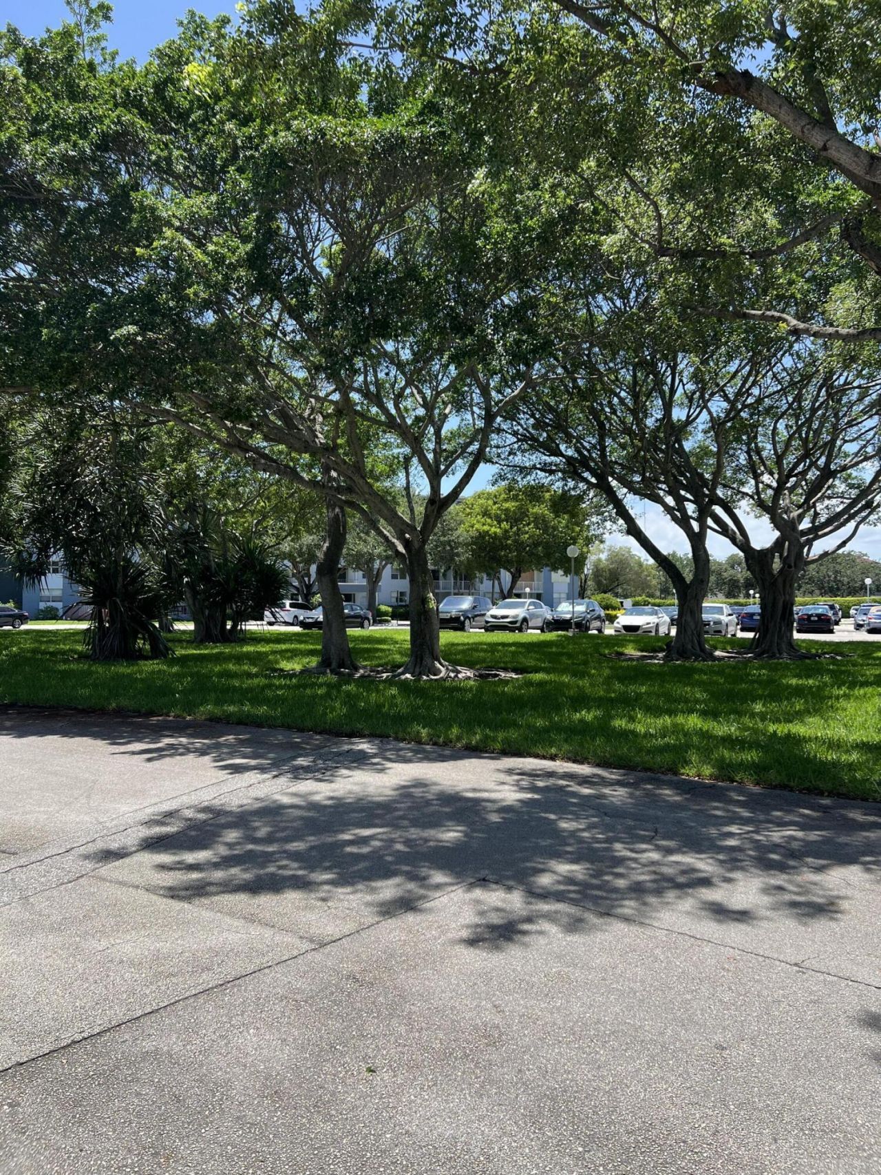 480 Executive Center Drive, Unit 2d, West Palm Beach, FL 33401 Photo