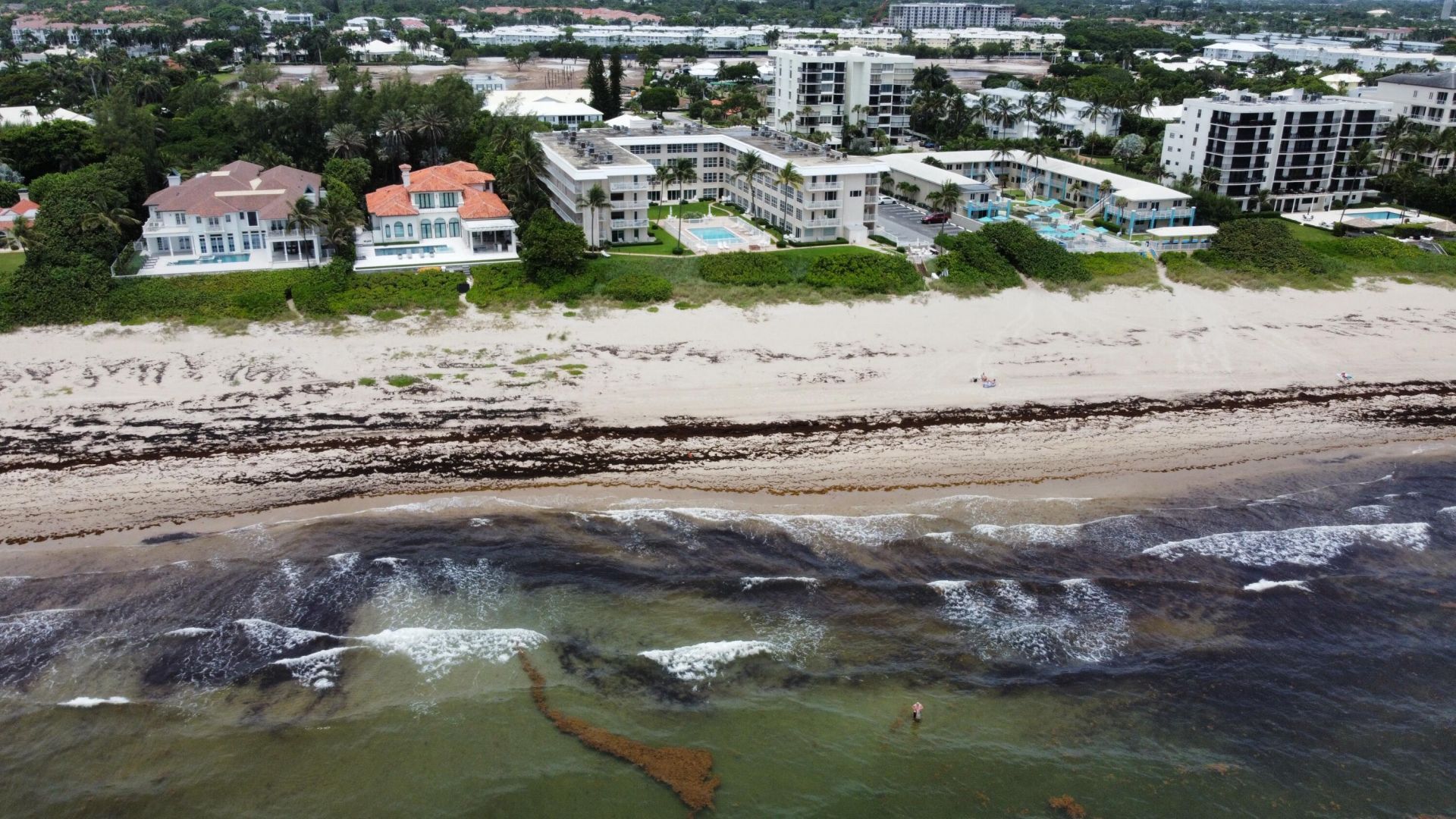 3851 N Ocean Boulevard N, Unit 403, Gulf Stream, FL 33483 Photo