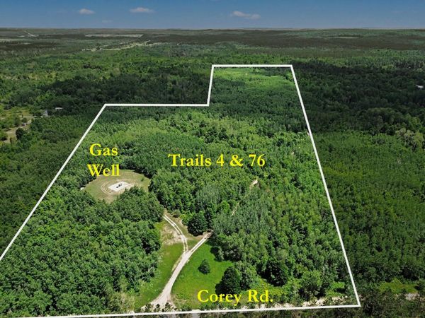 VL Corey Road, Mancelona, MI 49659