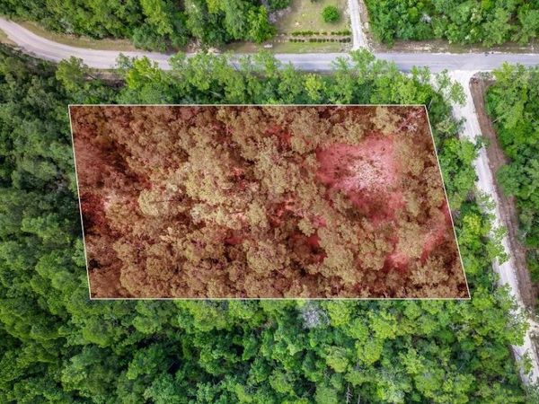 Persimmon Road , Sopchoppy, FL 32358