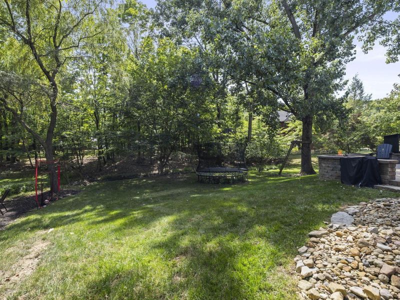 222 Beech Ridge Drive, Powell, OH 43065 Photo 60